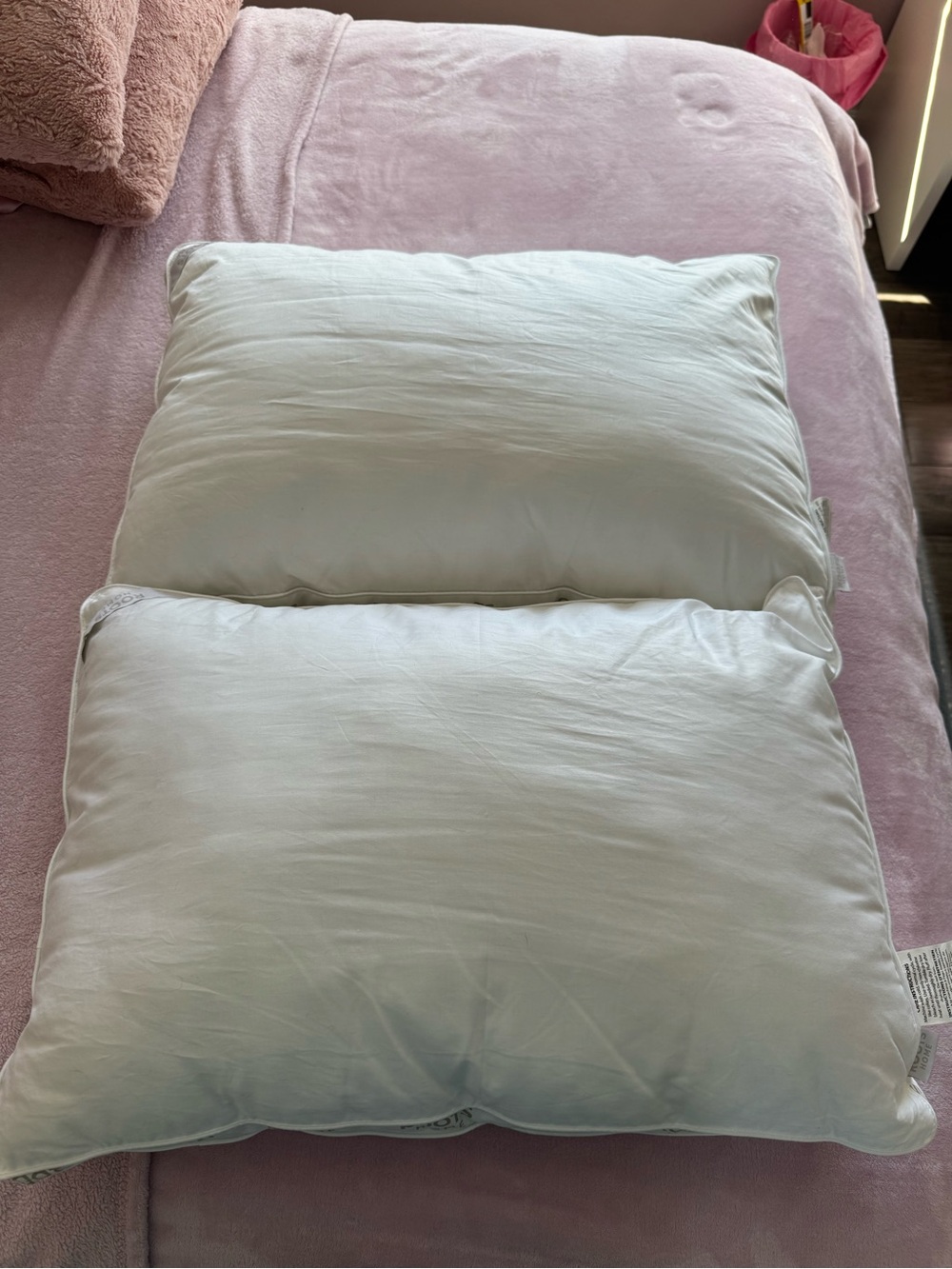 Roots Home Queen/Standard 2 plush down pillows, BRAND NEW - Picture 2 of 3